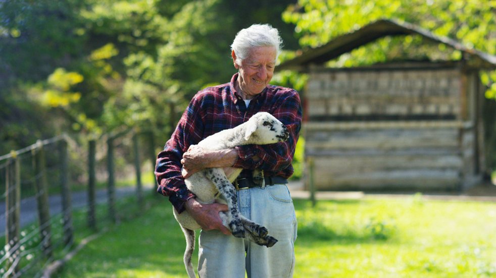 Old man holding lamb